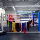 와일드짐 이미지