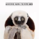내셔널지오그래픽 - 정읍시 중앙로 129 | 내셔널지오그래픽
