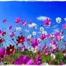 레이아웃 - 동구 | 레이아웃