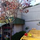 연제구 항도어린이집 이미지