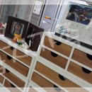 용인대 라이온즈 태권도장 이미지