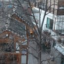 코리아탕 이미지