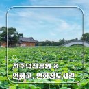 워시랜드 | [전주 가볼만한 곳] 새단장 후 완전히 바뀐 전주 덕진공원 피크닉 다녀온 낮 풍경 솔직 후기