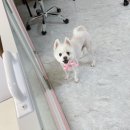 멍키매직 이미지