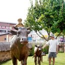 정지용문학관 | 충북 옥천 실내 가볼만한곳 무료 정지용 생가 문학관 주차장