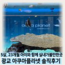 아쿠아 커피연구소 | 5살 23개월 아이와함께 광교 아쿠아플라넷 방문후기 입장권할인,주차,공연시간표 (36개월미만 무료)