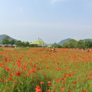 하사여성경로당 | 운길산 수종사, &#39;물의 정원&#39; - ( 2022.06.01 )