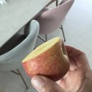 아틀리에 피클(Atelier Pickle)