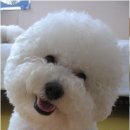 동글동글 이미지