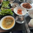 숲속애견샵 이미지