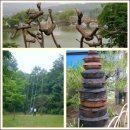 의림지-03 이미지