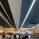 팀매드청주 이미지