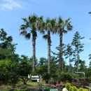 랄랄라더예쁜협재펜션 이미지