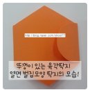 딱지