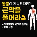 근막이완요법, 단순 마사지가 아니다 온몸을 하나로 보는 ‘근막’ 이야기와 통증 관리 비밀 이미지