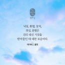 풀 파트너 이미지