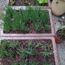 대문농장 이미지