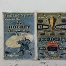 아지사랑 | 2026년 1월 &amp; 2월의 일상 / 7세 아지 일기