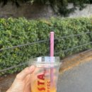 인터넷 토탈마켓 러쉬 | 아일랜드 워홀 취업 꿀팁(?)