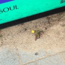 6월 스타트 : 요즘 나의 일상