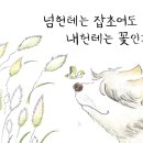 조은왕겨 이미지