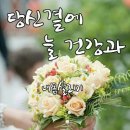 키다리와난쟁이
