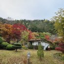 화순토지공인중개사사무소 | 서구부동산 탄탄한공인중개사와 함께한 화순 토지 방문기