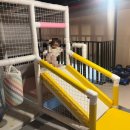 노추산길목식당펜션 | 무주키즈펜션 센트럴 리조트 가족여행 후기