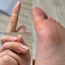 보경카정비 | 2022년 11월