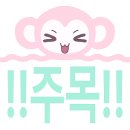 위시마켓 - 성남시 분당구 | 위시마켓