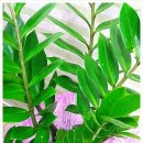 뜰아래플라워 이미지