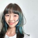 바인즈 티스토리