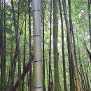 칠천량해전길 이미지