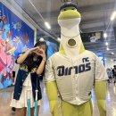 풀스테이더네이쳐홍천D | 10월 : KBO 시즌 마지막 경기 직관, 세계불꽃축제, 허준축제, 풀스테이 스테이펫, 라오스 방비엥 여행