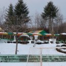 노동초등학교 이미지