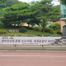 문화 현수막 이미지