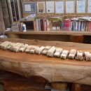 광지원초등학교 이미지