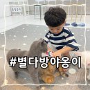 별다방 야옹이 이미지