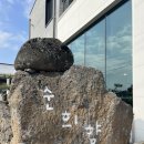 순희향채