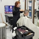 마를린헤어 이미지