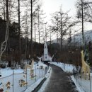 청평역관광안내소 | 가평 아침고요수목원 오색별빛 정원전 후기