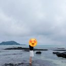 주식회사 제주다움렌트카(도두) | ✈️ [제주 2박 3일 여행기 | DAY 1] 첫날의 설레임!