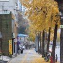 응암근린공원 이미지