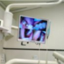 자생약국 | 50대 자영업자가 자생배합 영양제 닥터덴포 오라빅스 6개월 기록 몇자 적습니다