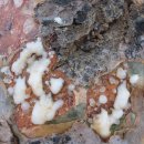 무역로-1 이미지