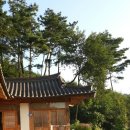 화창리 이미지