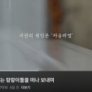 어렵게 쌍둥이임신후 사산된 유튜버.. 이미지