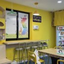 고양이카페 아이캣유 이미지