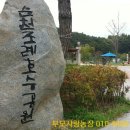 보성녹차(순천) 네이버블로그