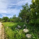 구암동498 이미지